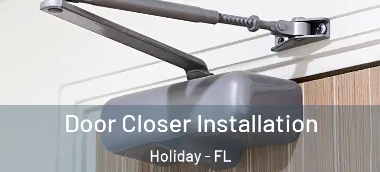  Door Closer Installation Holiday - FL