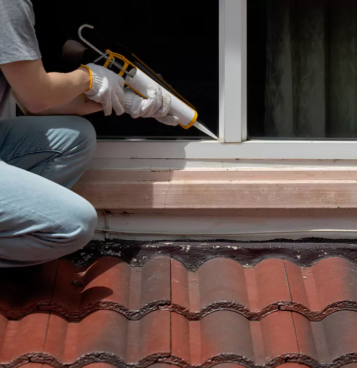Roof Window Services in Holiday, Florida