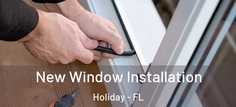  New Window Installation Holiday - FL