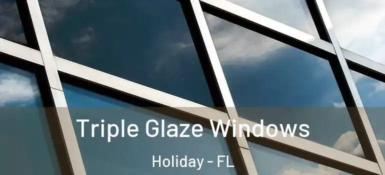  Triple Glaze Windows Holiday - FL