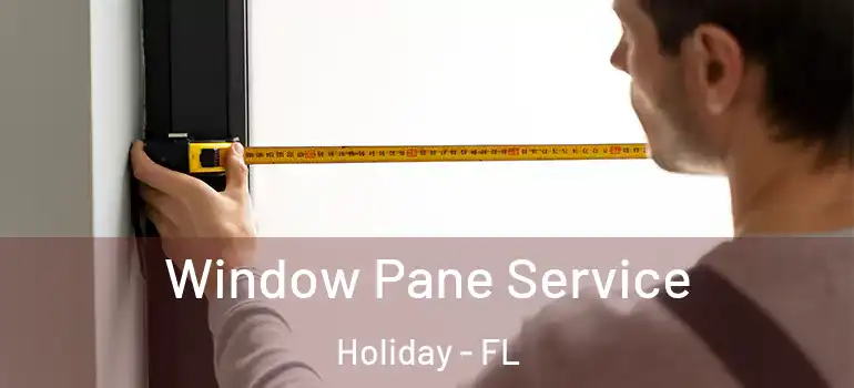  Window Pane Service Holiday - FL