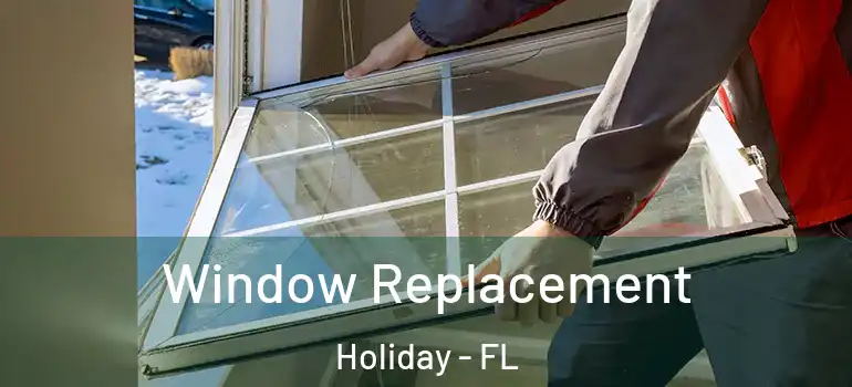  Window Replacement Holiday - FL